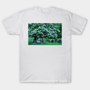 Catalpa tree in bloom T-Shirt